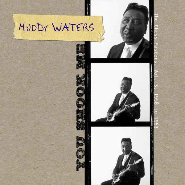 Muddy Waters - Mopper's Blues