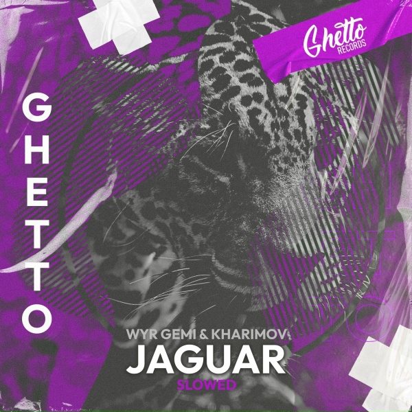 WYR GEMI - Jaguar
