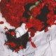 Lucy Daydream - Lovesong