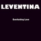 Leventina - Wisdom (Original Mix) (Original Mix)