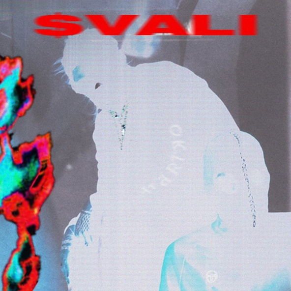 SLAVA VORONTSOV feat. VAC&Iacute;O - $VALI