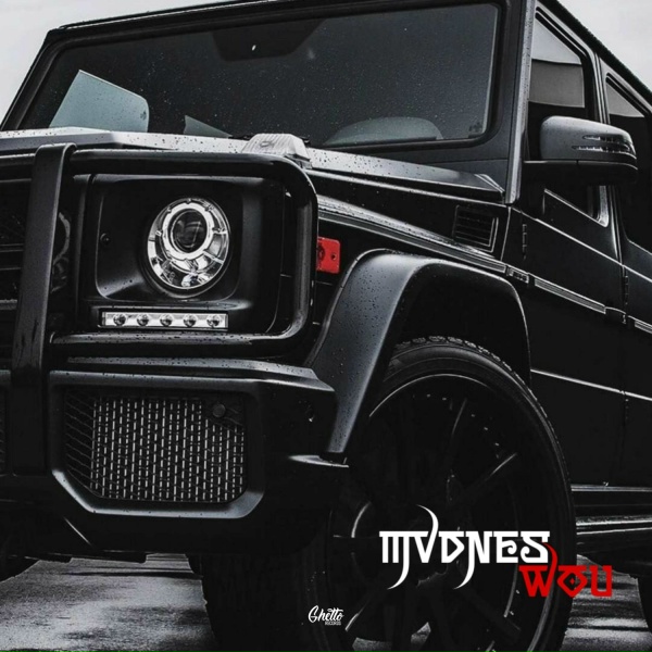 MVDNES - Wou