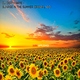 Dj Death Rate - Sunrise in the Summer