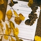 Sirius Eyes - Autumn Rain Waltz