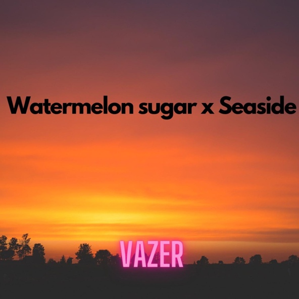 Vazer - Watermelon Sugar X Seaside