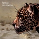 Fonetica - Freed from Desire (Original Mix) (Original Mix)