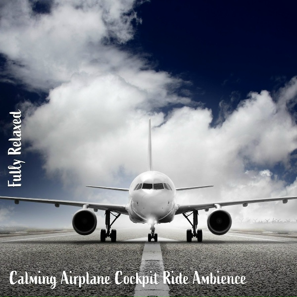 Steve Brassel - Calming Airplane Cockpit Ride Ambience, Pt. 8