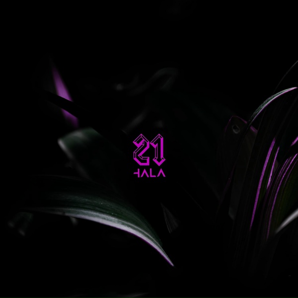 Hala - Ibiza