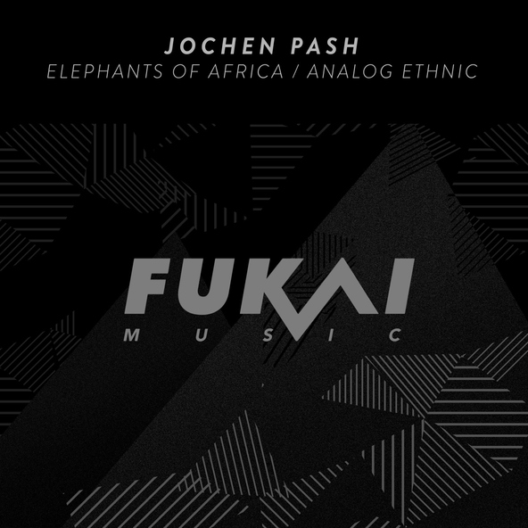 Jochen Pash - Elephants of Africa