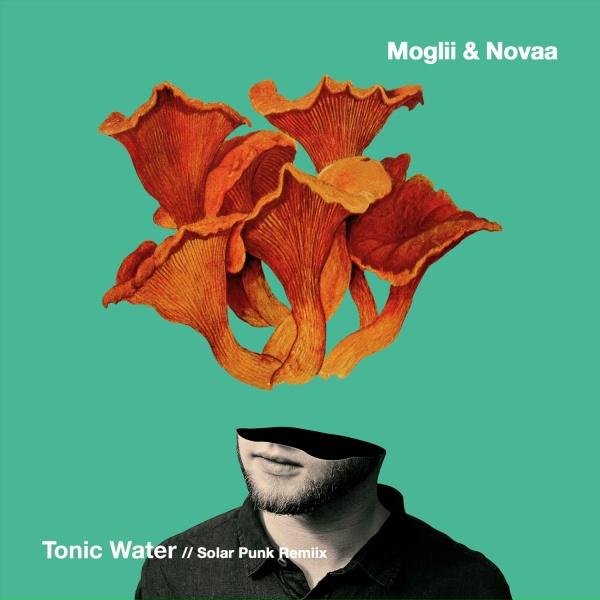 Moglii, Novaa - Tonic Water