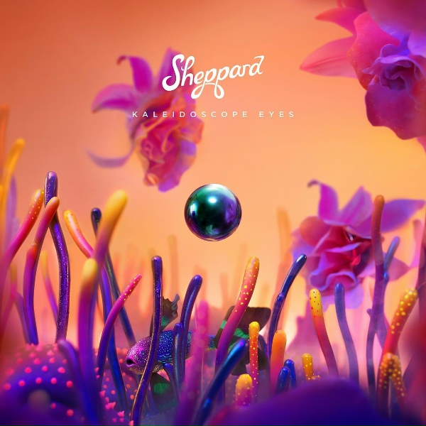 Sheppard - Somebody Like You