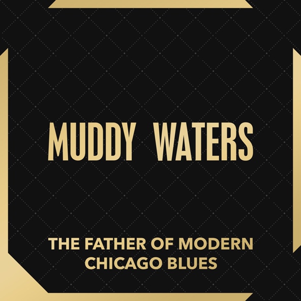 Muddy Waters - Walkin' Blues