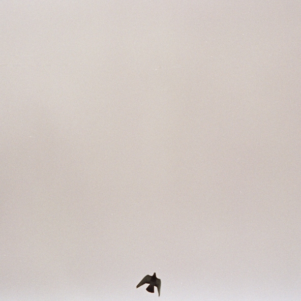 Maverick Sabre - Don't You Know by Now
