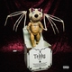 Teddy - Catch Me