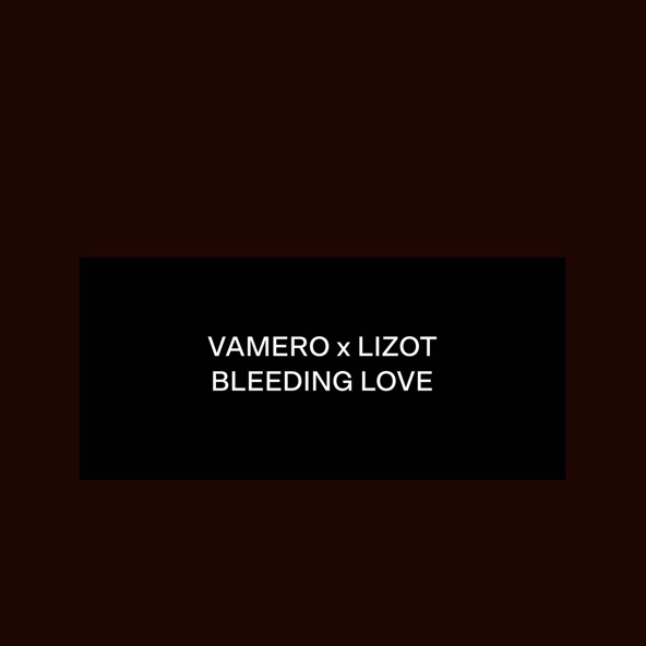 VAMERO, LIZOT - Bleeding Love