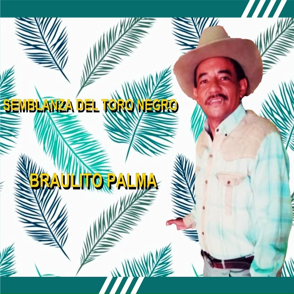Braulito Palma - Parrandeando
