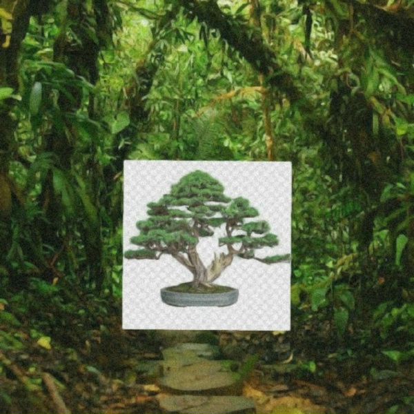 Se7en mc - Bonsai