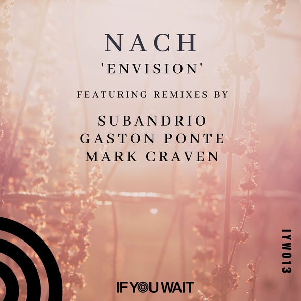 Nach, Gaston Ponte - Envision