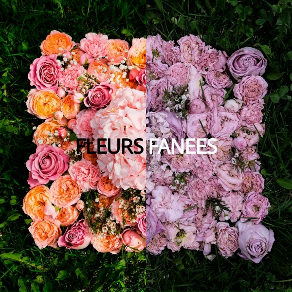izzamuzzic - Fleurs