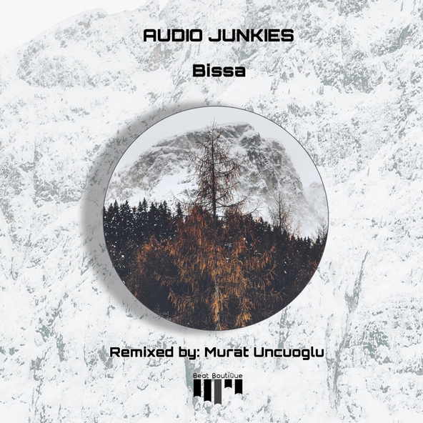 Audio Junkies - Bissa