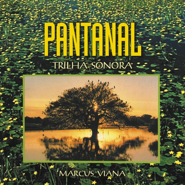 Marcus Viana - On&ccedil;a Pintada