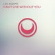 Leo Kodian - Can't Live Without You (Original Mix) (Original Mix)