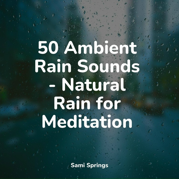 M&uacute;sica de la Naturaleza, Nature Sounds XLE Library, Deep Sleep Relaxation - Cozy Campfire