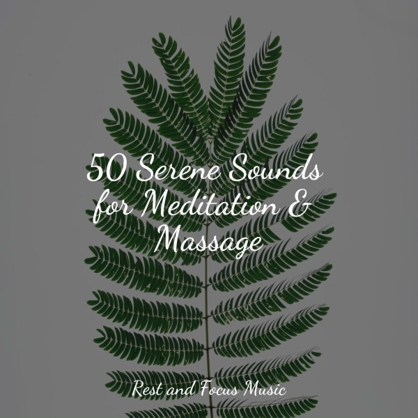 Wellness, Tranquil Music Sound of Nature, Sleep Songs 101 - Clouds Above