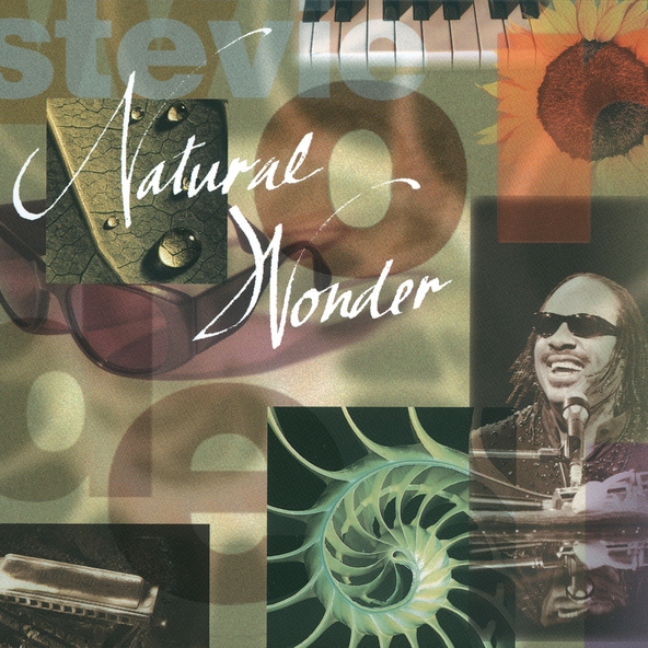 Stevie Wonder - Dancing To The Rhythm