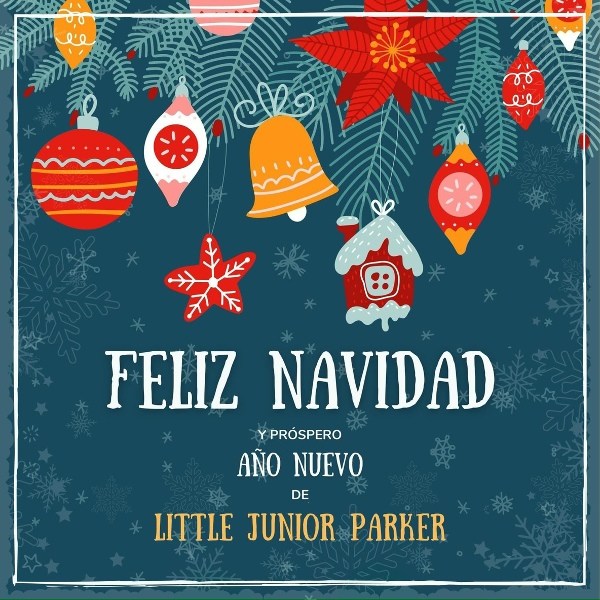 Little Junior Parker - You're My Angel