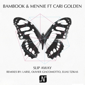 Bambook, Mennie feat. Cari Golden - Slip Away