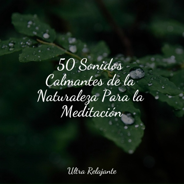 Musica Meditaction, Musica Relajante New Age Culture, Naturaleza Relajacion - Piano en El Para&iacute;so