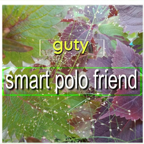 guty - gold car smart polo friend