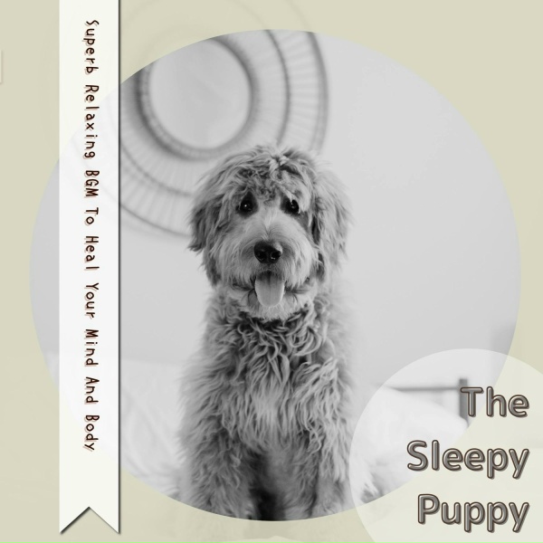 The Sleepy Puppy