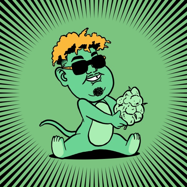 Naza - Souris verte