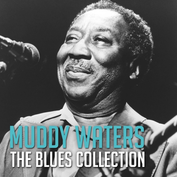Muddy Waters - Gypsy Woman
