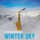 Syntheticsax - Winter Sky (Backing Track) (Backing Track)