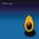 Pearl Jam - Come Back (Brendan O'Brien Mix) (Brendan O'Brien Mix)