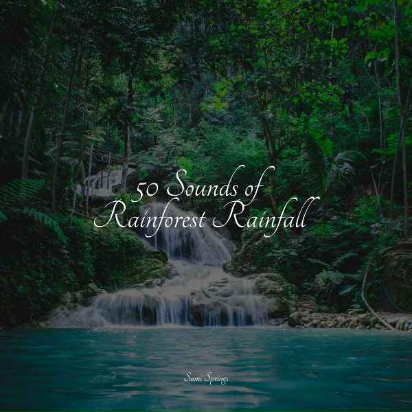Fabricantes De Lluvia, Nature Sounds, Yoga Namaste - Forest, Birds, River in the Distant