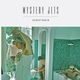 Mystery Jets - Flash a Hungry Smile