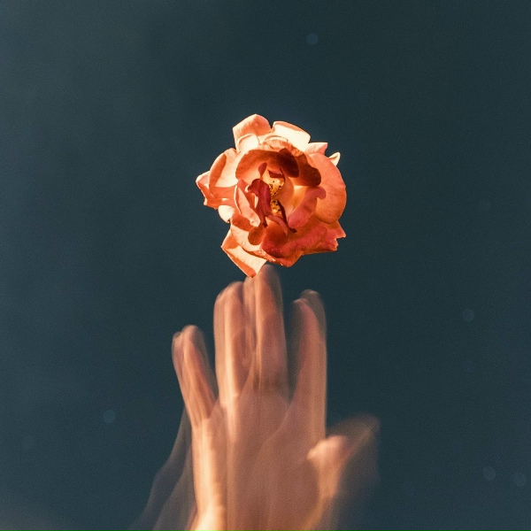 Madilyn Bailey, Madilyn - Titanium (Re-Recorded Version)