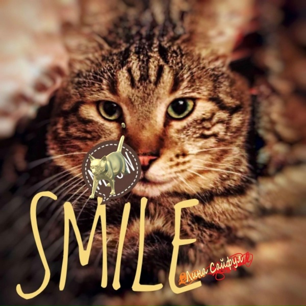 Лина Сайфул - Smile - Remix