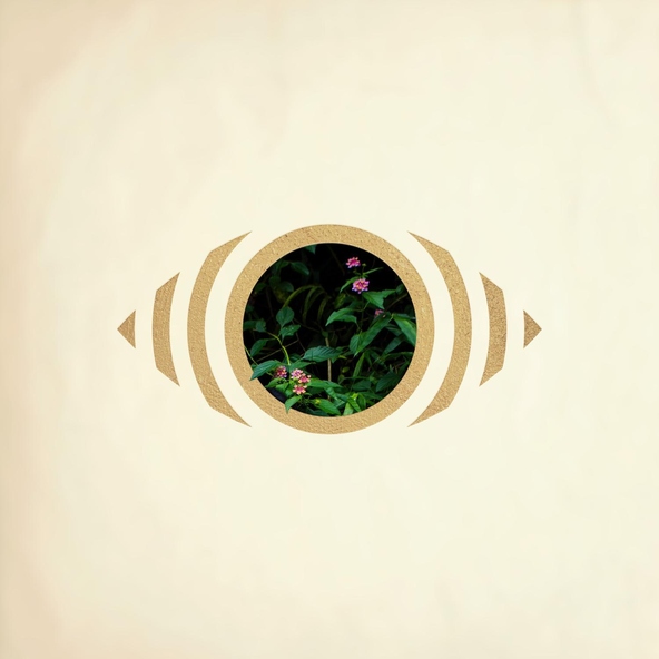 ( O ) - Infintro