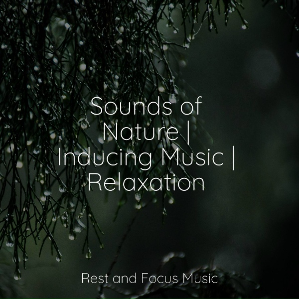Musique Zen Garden, Wellness, Tinnitus Aid - Sound of Love