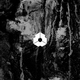 Never Lost - Red Eye (Original Mix) (Original Mix)
