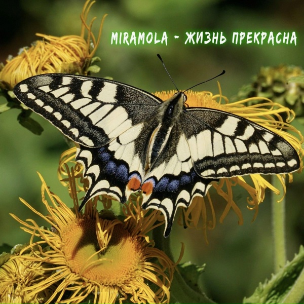 Miramola - Планета Земля