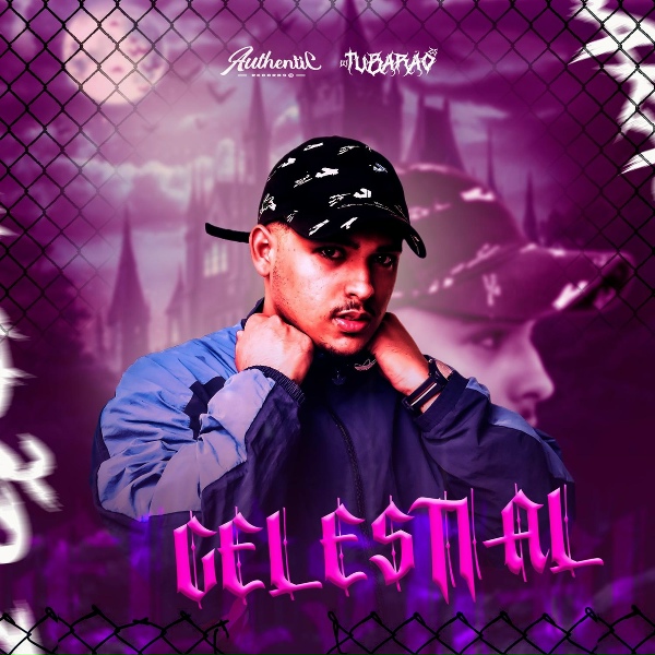 DJ Tubarão ZS, MC Renatinho Falcão