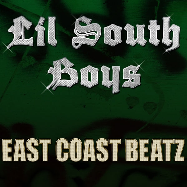 Lil South Boys