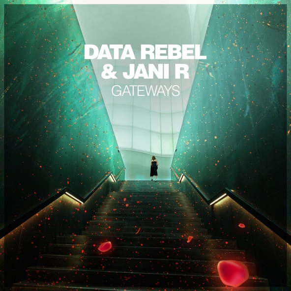 Data Rebel, Jani R - Approaching
