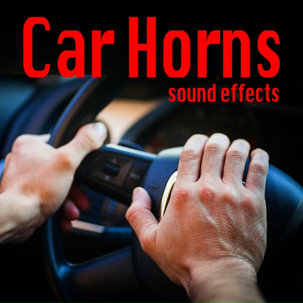 Sound Ideas - Ford F150 Car Horn